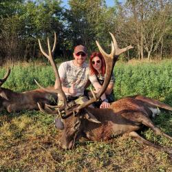 La chasse des grands cerfs
