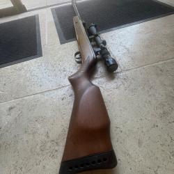 Carabine à plomb 19.9j