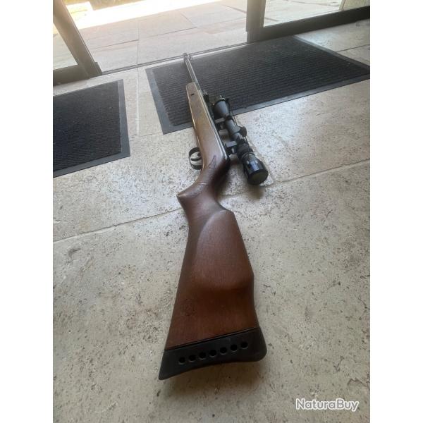 Carabine  plomb 19.9j