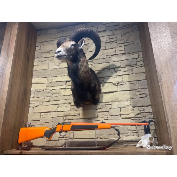 Carabine Blaser R93 Cal 9,3x62 modle Professional fluo orange