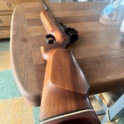 Rare diana 60 avec dioptre et silencieux