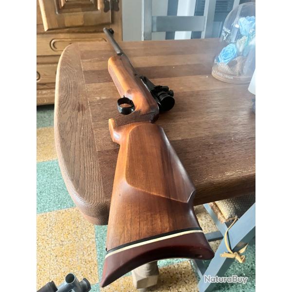 Rare diana 60 avec dioptre et silencieux