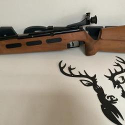 Carabine Diana 75 Match