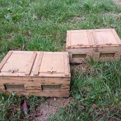 Boîtes d'élevage petits mammifères