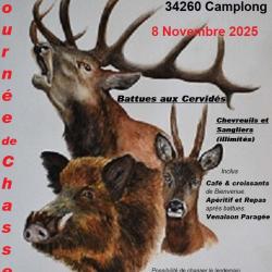 Journée de chasse aux Cervidés