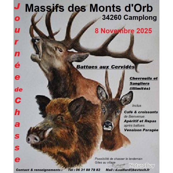 Journe de chasse aux Cervids
