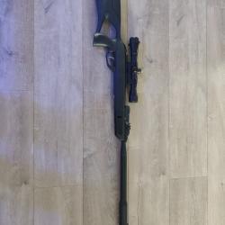 Gamo roadsters igt gen 2 10 coups