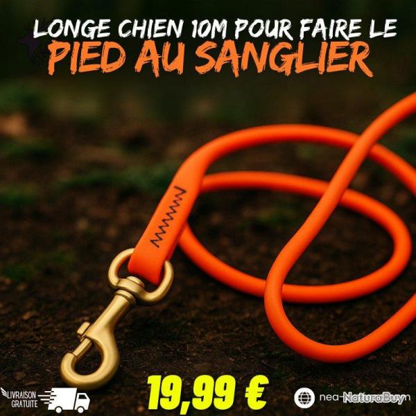 Longe plate chien 10m pour faire le pied au sanglier LIV OFFERTE