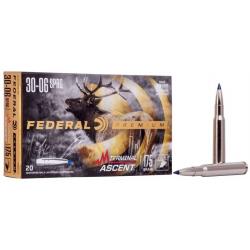 Munitions FEDERAL cal.30-06 Terminal Ascent 175gr par 20