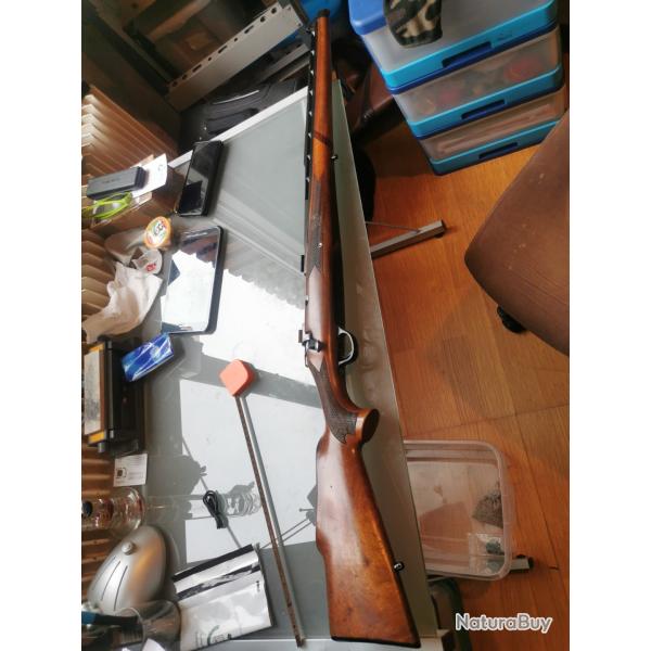 Chapuis Centaure bande de battue longue