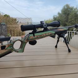 CZ 600 en .308 sur crosse Boyds avec RDS Nielsen paradox 45