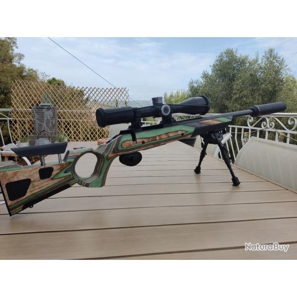 CZ 600 en .308 sur crosse Boyds avec RDS Nielsen paradox 45