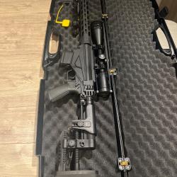 Ruger précision rifle 308w
