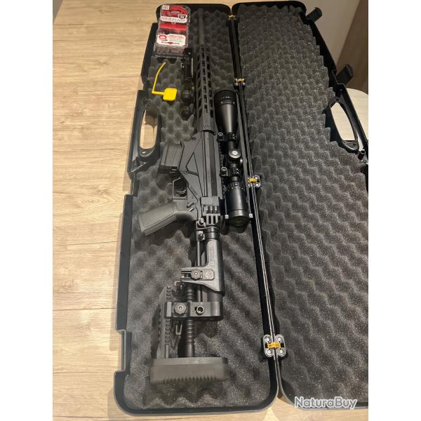 Ruger prcision rifle 308w