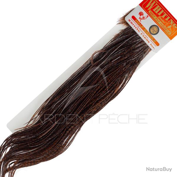 1/2 saddle WHITING bronze teint coachman