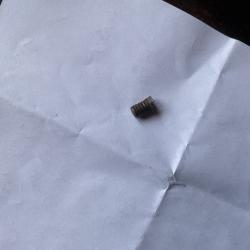 Vis de sécurité pour fusil gras, pas de prix de réserve