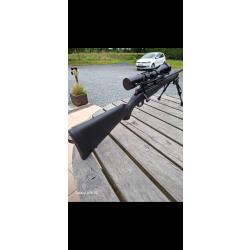 Mossberg 243 patriot