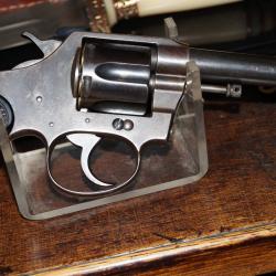 Colt 38 police positive.D2