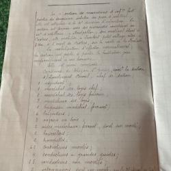 JOURNAL  DES MARCHES ET OPÉRATIONS DE LA 4 ÈME SECTION  DE MUNITIONS D'INFANTERIE  1915  W W 1