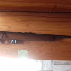 carabine 22lr mag Marlin