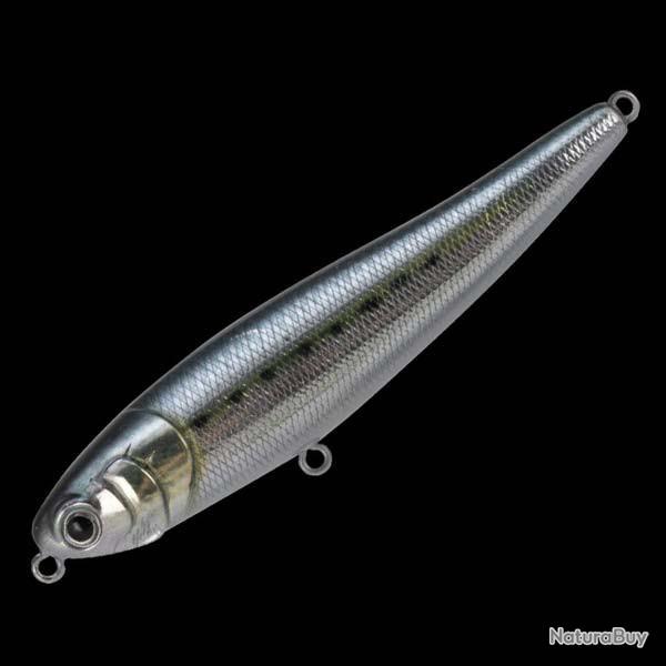 Chihuahua 110 11cm 06