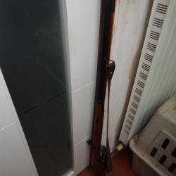 Fusil Tryon Creedmoor calibre 44
