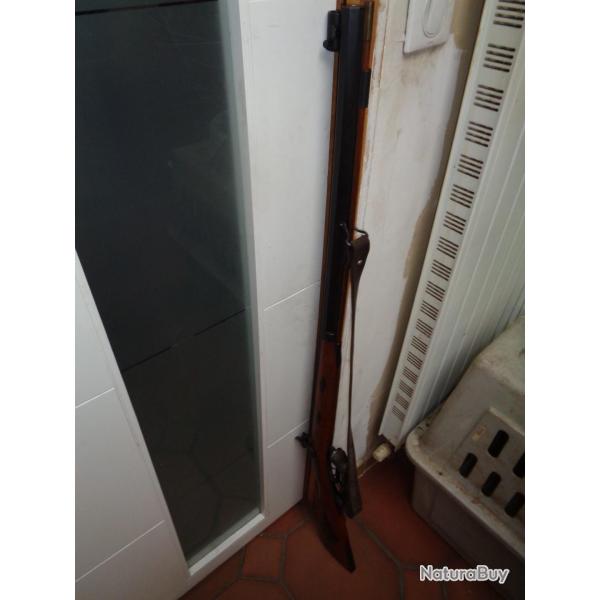 Fusil Tryon Creedmoor calibre 44