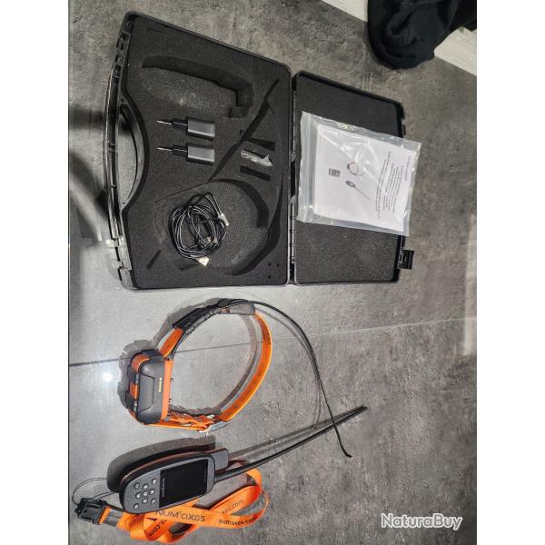 COLLIER GPS ET DE DRESSAGE