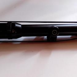 Lunette schmidt Bender 1.25/4x20