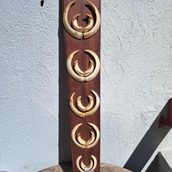 Trophée de chasse de sanglier