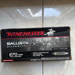 Balle winchester ballistic silvertip