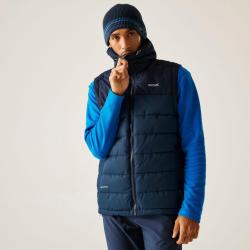 Doudoune Sans Manches de Randonnée Regatta Aldthorn B W Bleu