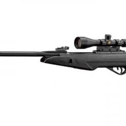 Carabine à plomb GAMO Whisper IGT 4,5 mm (19,9 Joules)