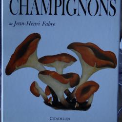 LES CHAMPIGNONS DE JEAN - HENRI FABRE