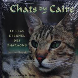CHATS DU CAIRE