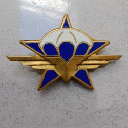 INSIGNE MILITAIRE 1 er RCP REGIMENT