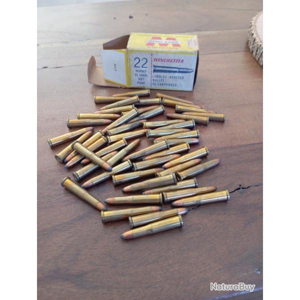 Munitions 22 hornet