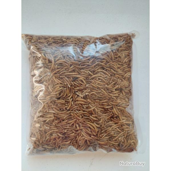 vers de farine 10 kg