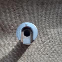 Shell older  Lyman n°1