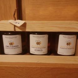 Trio de trois pots de miel de 250g dans un coffret bois