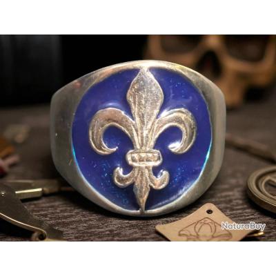 Blason Mural Fleur De Lys - Patine Bronze - 14x11 Cm - Plâtre - NEUF - Histoire De Bustes