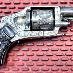 Revolver bulldog puppy cal 5.5