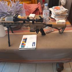 Carabines ALPEN ARMS STG15 canon 14,5" + lunette burris+ bipieds utg couleur fde et sa housse