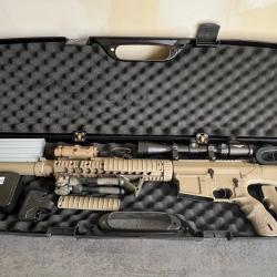 SR25 M110 avec accessoires