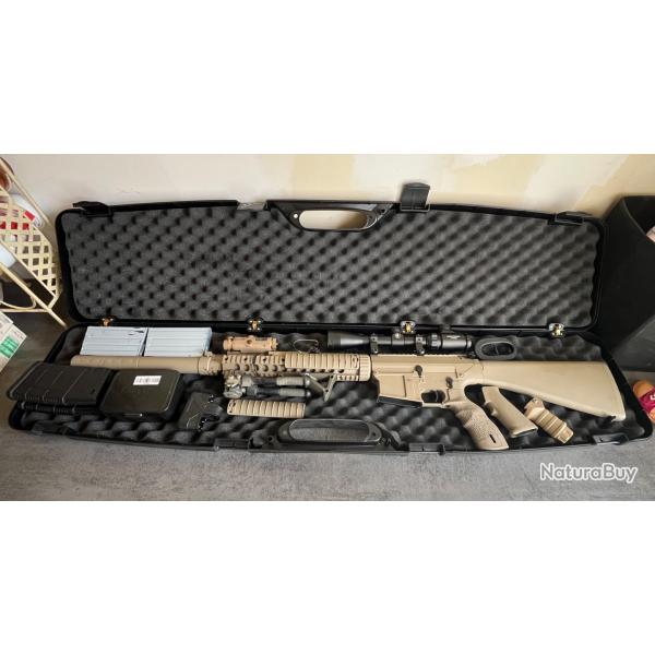 SR25 M110 avec accessoires