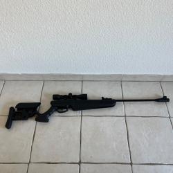 Carabine Swiss Arms TG-1