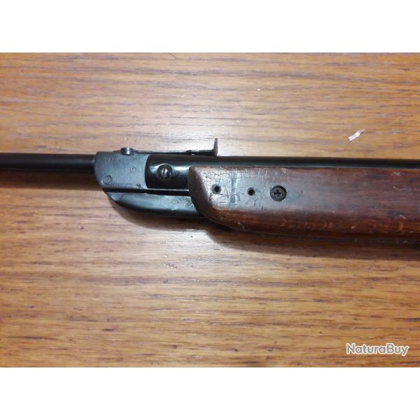 carabine a plomb