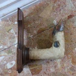 porte manteau patte de biche ou chevreuil CHASSE