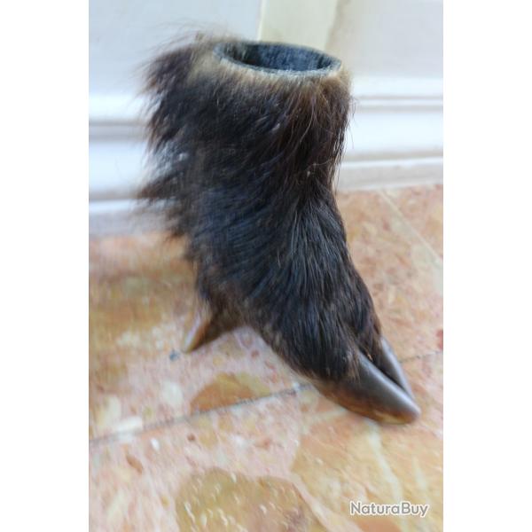 pot a crayon dans une patte de sanglier (1)