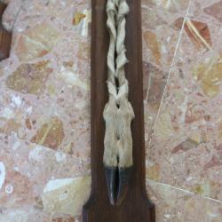 trophee pied patte d' honneur BICHE CLAIRAMBAULT chasse (2) 1984